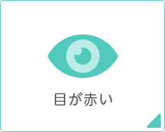目が赤い