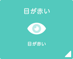 目が赤い